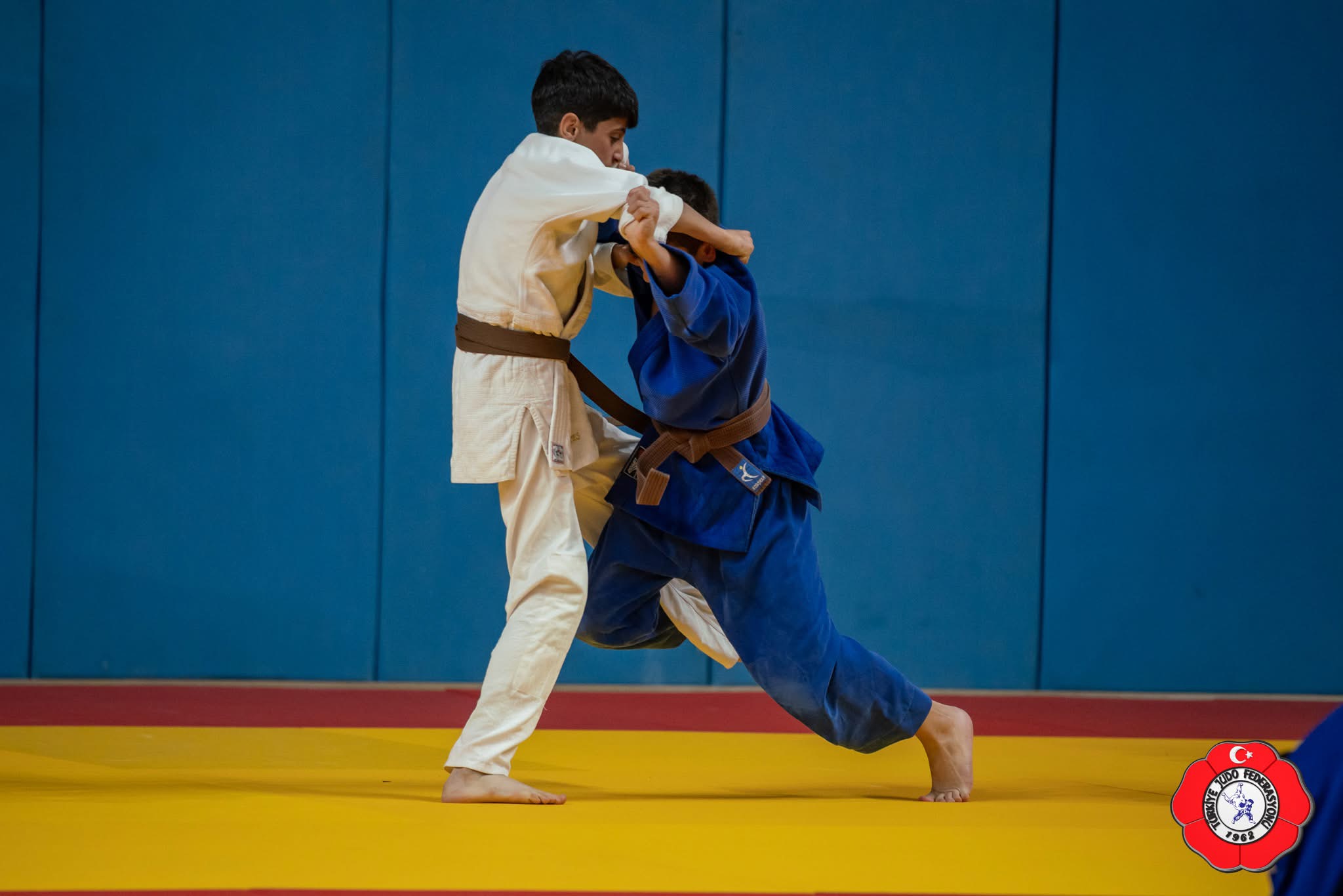 judo